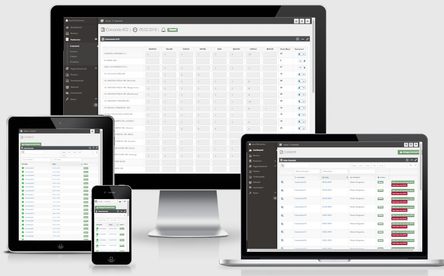 Aplicatie facturare - Miopanino.ro