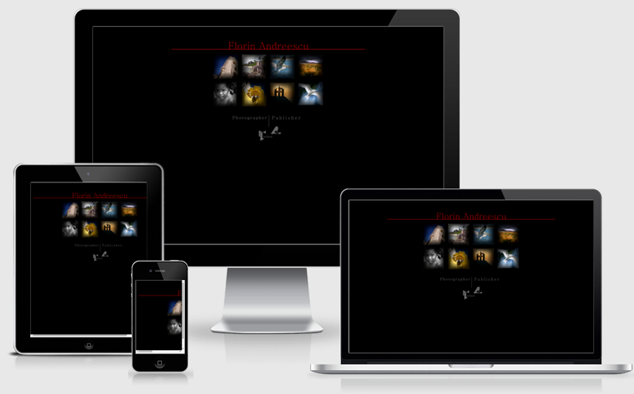Prezentare portofoliu - FlorinAndreescu.com