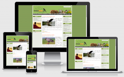 Enciclopedia animalelor - AnimalPedia.ro