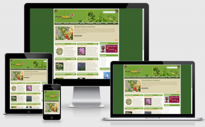 Enciclopedia plantelor - PlantPedia.ro